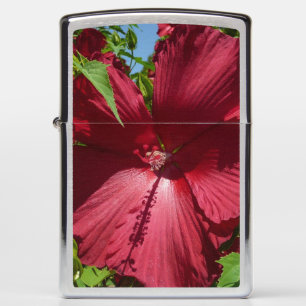 Hibiscus Bloem en Blue Sky