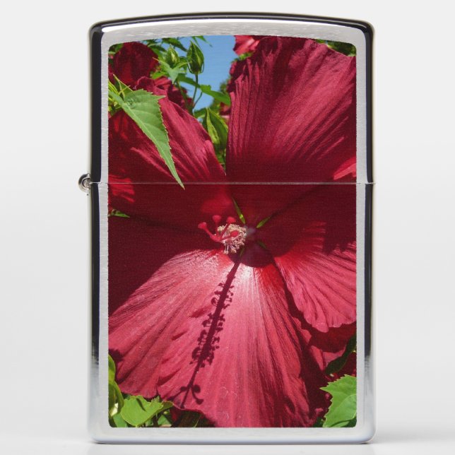 Hibiscus Bloem en Blue Sky (Voorkant)