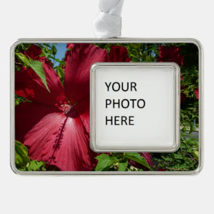 Hibiscus Bloem en Blue Sky Verzilverd Kader Ornament