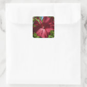 Hibiscus Bloem en Blue Sky Vierkante Sticker (Tas)