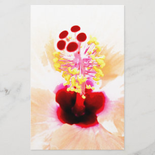 Hibiscus Bloem Foto Briefpapier