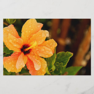 Hibiscus Bloem Fotografie Briefpapier