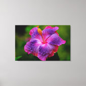 Hibiscus Bloem Stretch Canvas Print (Voorkant)