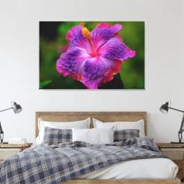Hibiscus Bloem Stretch Canvas Print