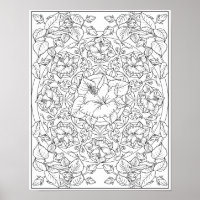 Hibiscus Bloem Volwassenen Kleur Mandala