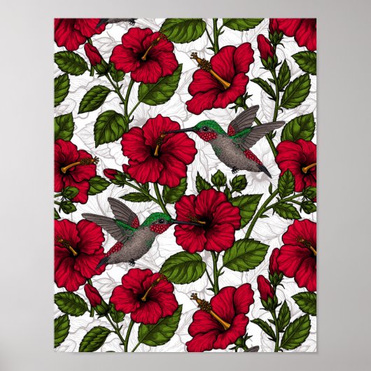 Hibiscus bloemen en kolibrie poster (Voorkant)