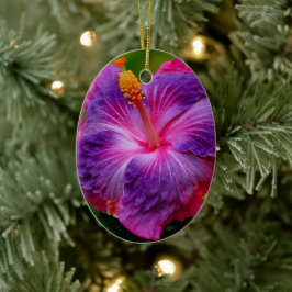Hibiscus bloemenkeramisch Ornament