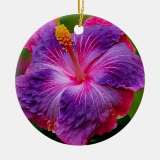 Hibiscus bloemenkeramisch Ornament (Voorkant)