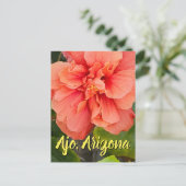 Hibiscus Bloom Double Pêche, Carte Postale d'Arizo (Debout devant)