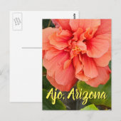Hibiscus Bloom Double Pêche, Carte Postale d'Arizo (Devant / Derrière)