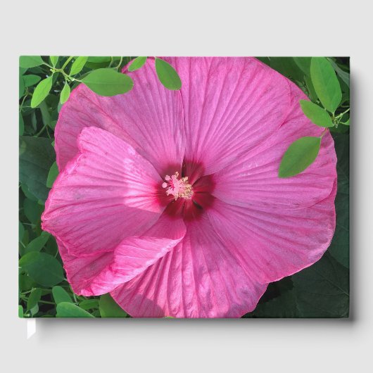 Hibiscus Bloom Gastenboek (Voorkant)