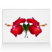 Hibiscus Blossom (Binnen Horizontaal (Boven))