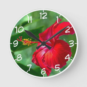 Hibiscus Blossom Ronde Klok