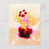 Hibiscus Briefkaart (Voorkant)