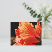 HIBISCUS BRIEFKAART (Staand voorkant)