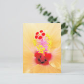 Hibiscus Briefkaart (Staand voorkant)
