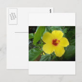 Hibiscus Briefkaart (Voorkant / Achterkant)