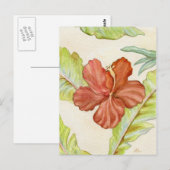 Hibiscus briefkaart (Voorkant / Achterkant)