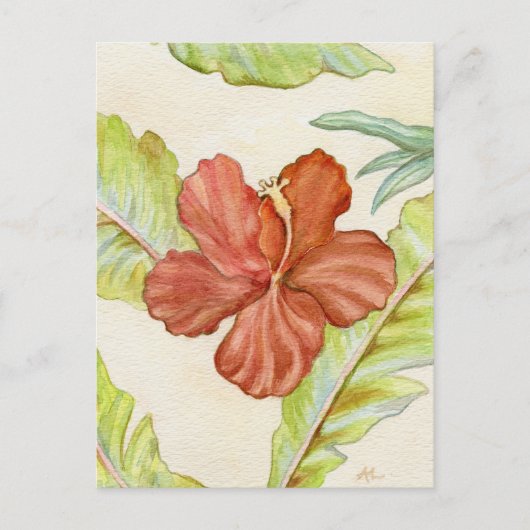 Hibiscus briefkaart (Voorkant)
