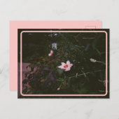 Hibiscus-Briefkaart Briefkaart (Voorkant / Achterkant)