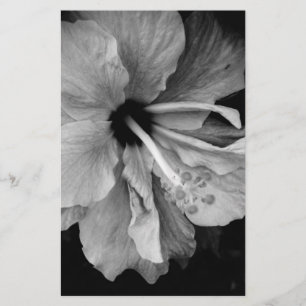 Hibiscus Briefpapier