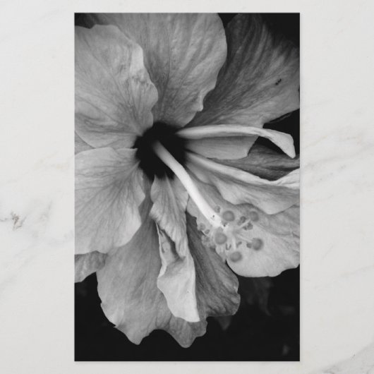 Hibiscus Briefpapier (Voorkant)
