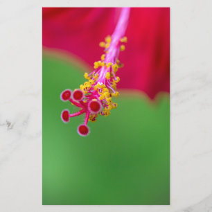 hibiscus briefpapier