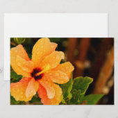 Hibiscus Briefpapier (Voorkant / Achterkant)