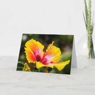 Hibiscus Bright Yellow met rood hart Kaart