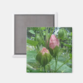 Hibiscus Buds Magnet Magneet (Voorkant / Achterkant)