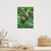 Hibiscus Buds Poster (Keuken)