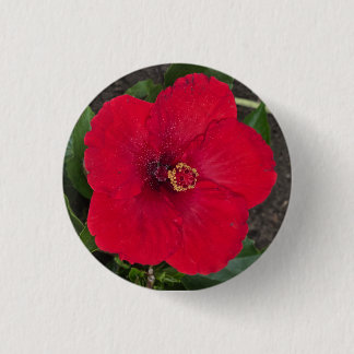Hibiscus Button