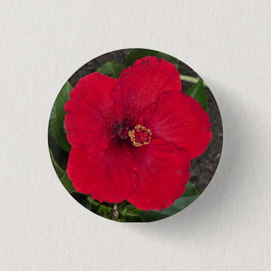 Hibiscus Button (Voorkant)