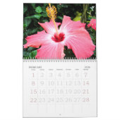 Hibiscus Calendar Kalender (Feb 2026)