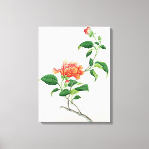 Hibiscus Canvas Afdruk