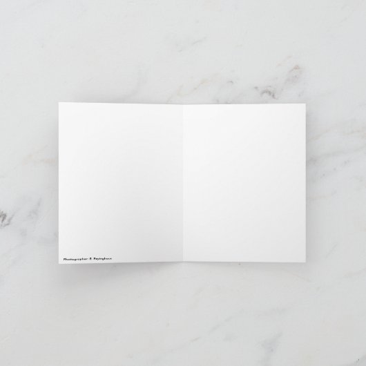 Hibiscus carte pour notes, variété (Intérieur)