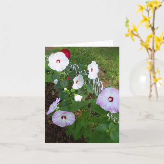 Hibiscus carte pour notes, variété (Fleur jaune)