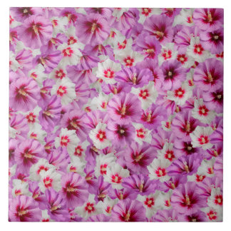 Hibiscus - Chinees Roos ventilator Tegeltje