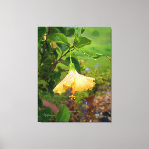 Hibiscus dauwwaterdruppels Ingewikkeld Canvas Afdruk
