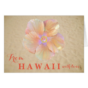 Hibiscus D'Hawaï Avec Amour Fleur Tropicale