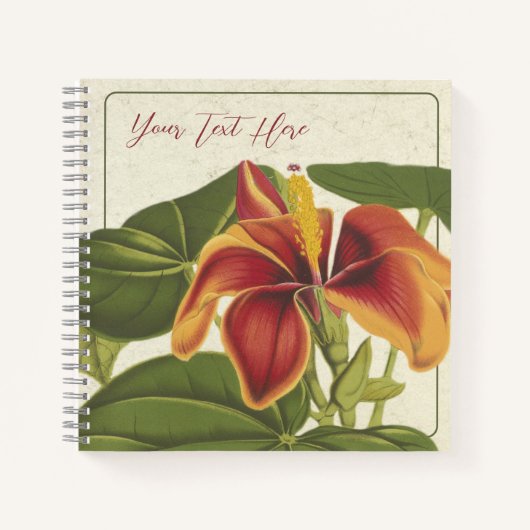 Hibiscus Elatus : un cahier tropical inspirant (Devant)