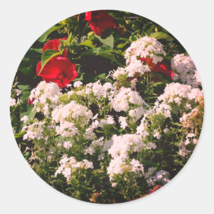 Hibiscus en Phlox Flowers Ronde Sticker