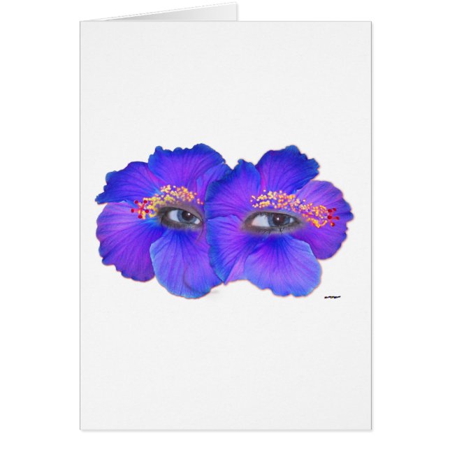Hibiscus Eyes - Blue (Voorkant)