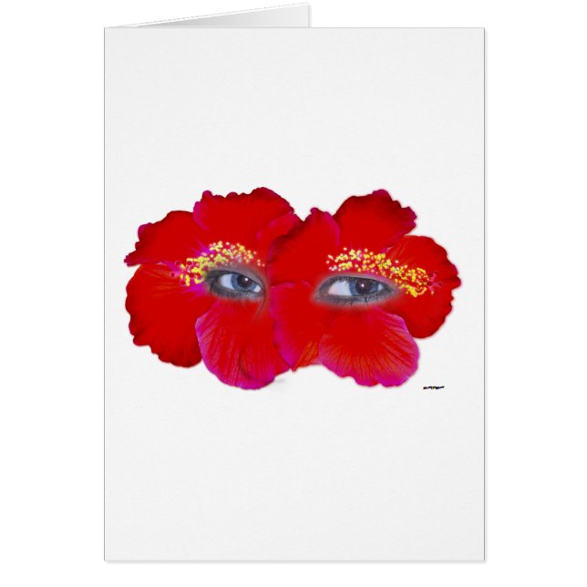 Hibiscus Face - Rood (Voorkant)