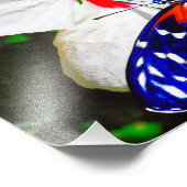 Hibiscus fleur avec Tiger Longwing Poster brillant (Coin)