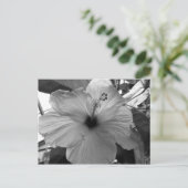 Hibiscus Flower Briefkaart (Staand voorkant)