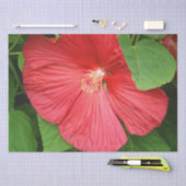 Hibiscus Flower Bright Magenta Floral Tissuepapier (Craft)