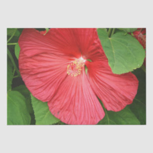 Hibiscus Flower Bright Magenta Floral Tissuepapier