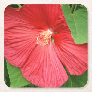 Hibiscus Flower Bright Magenta Floral Vierkante Kartonnen Onderzetter
