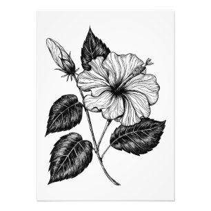 Hibiscus flower II Foto Afdruk